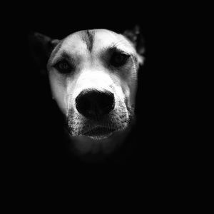 Meet your Posher, Ciaran